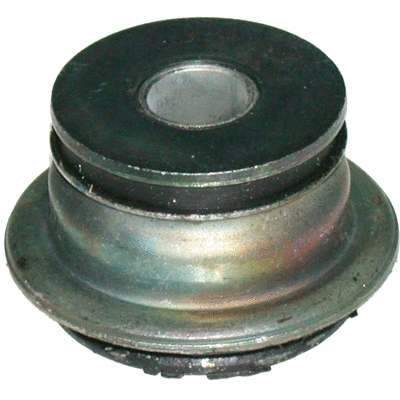 Bushing, axle beam (5732)