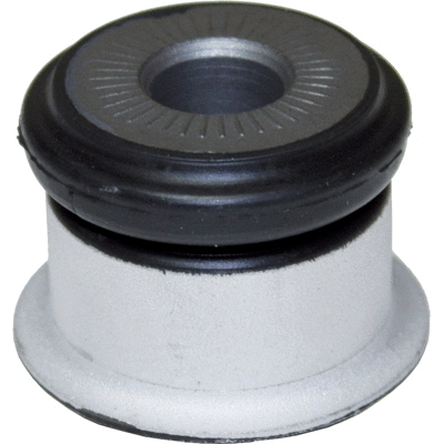 Bushing, axle beam (50309)