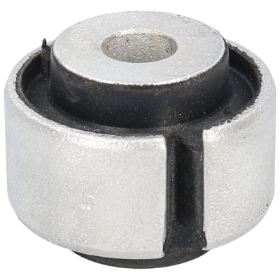 Mounting, control/trailing arm (20100)