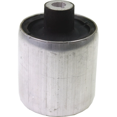 Mounting, control/trailing arm (2969)