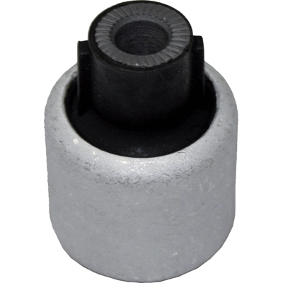 Mounting, control/trailing arm (2036)