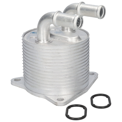 Oil Cooler, engine oil (80815)