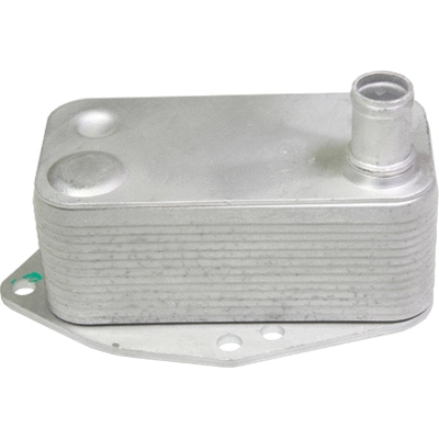 Oil Cooler, engine oil (80303)