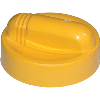 Sealing Cap, oil filler neck (8538)