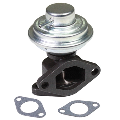 EGR Valve (90067)
