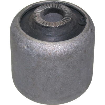 Mounting, control/trailing arm (2129)