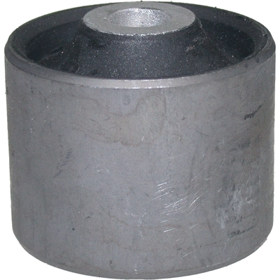 Bushing, axle beam (50371)