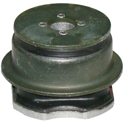 Bushing, axle beam (5733)