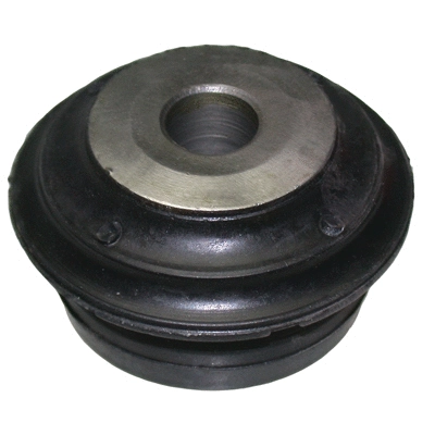 Mounting, control/trailing arm (2169)