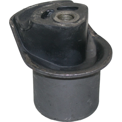 Bushing, axle beam (5835)