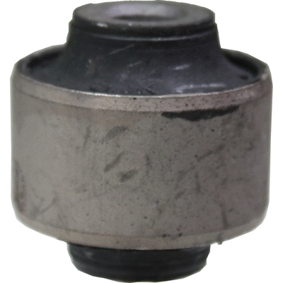 Mounting, control/trailing arm (2921)