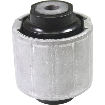 Mounting, control/trailing arm (20000)