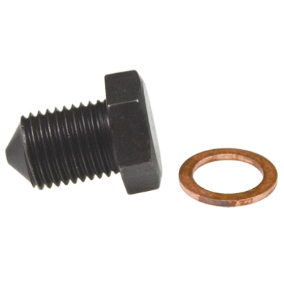 Screw Plug, oil sump (40506)