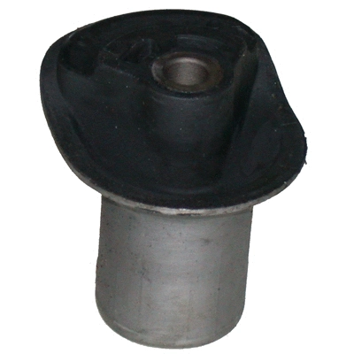 Bushing, axle beam (5830)