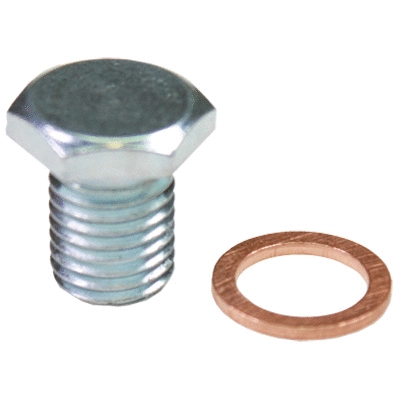 Screw Plug, oil sump (40503)