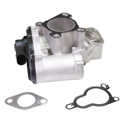 EGR Valve (90089)