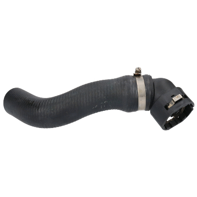 Radiator Hose (55319)
