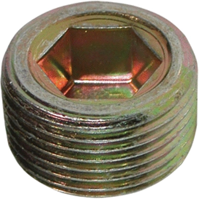 Screw Plug, oil sump (4181)