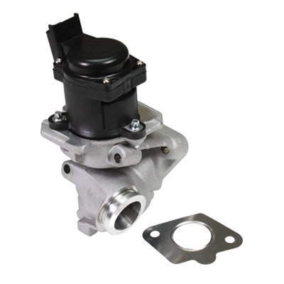 EGR Valve (90058)
