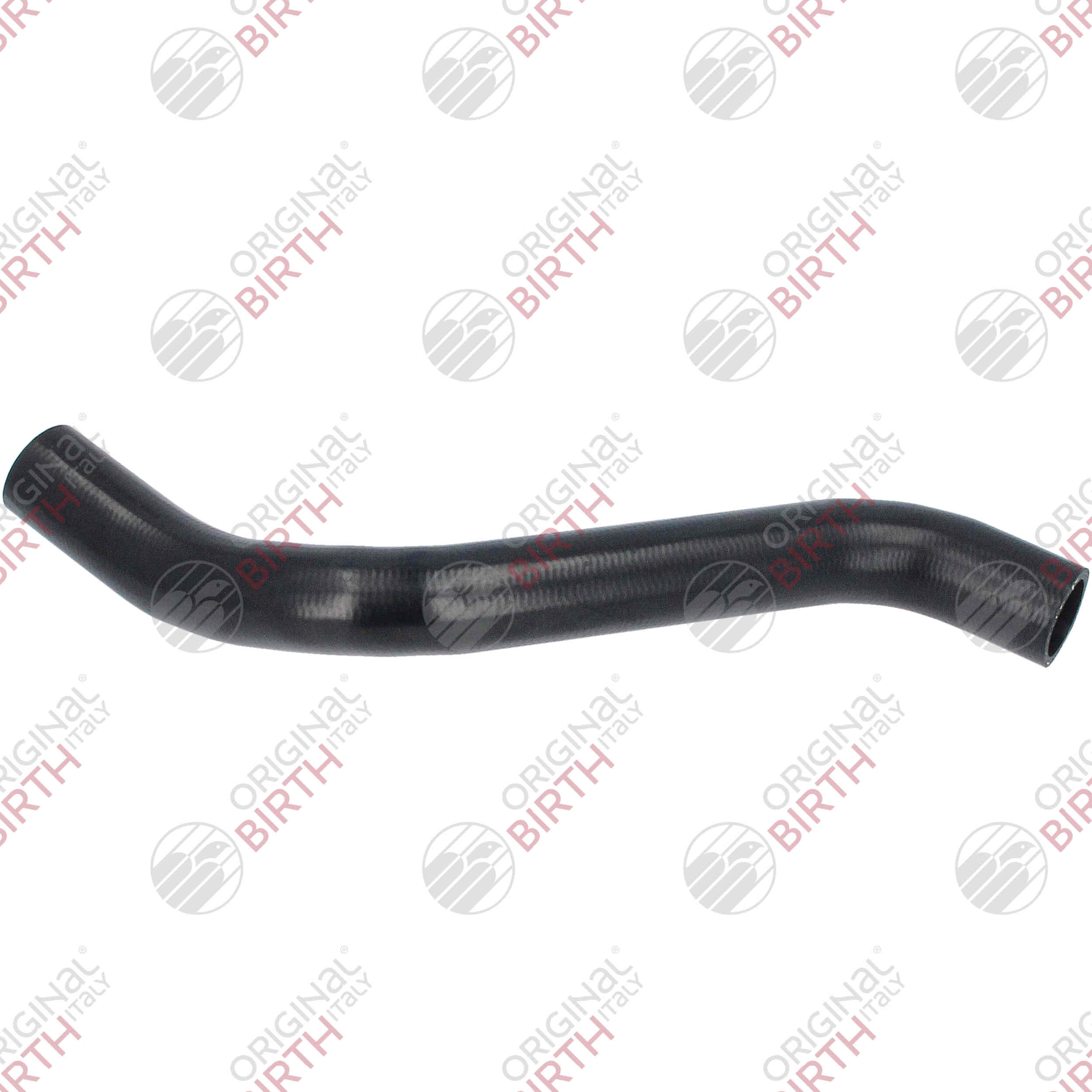 Radiator Hose (55364)