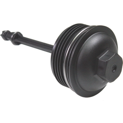 Cap, oil filter housing (81132)