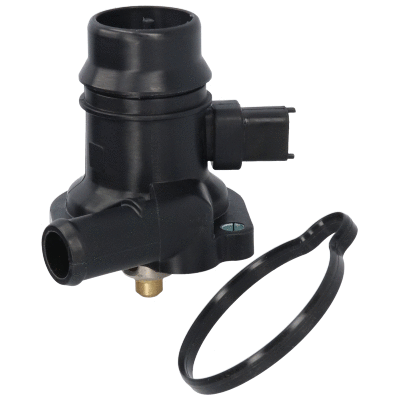 Coolant Flange (81767)