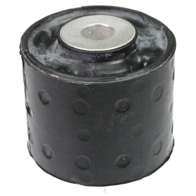 Bushing, axle beam (53884)