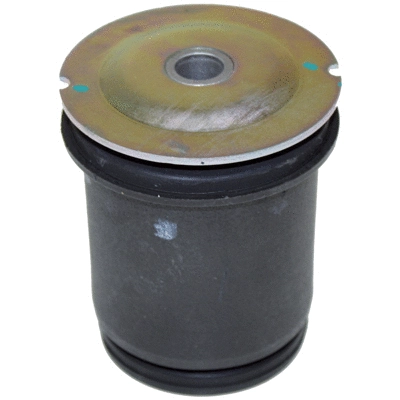 Bushing, axle beam (50462)