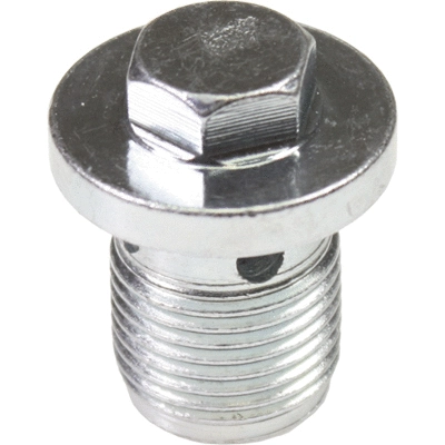 Screw Plug, oil sump (40501)
