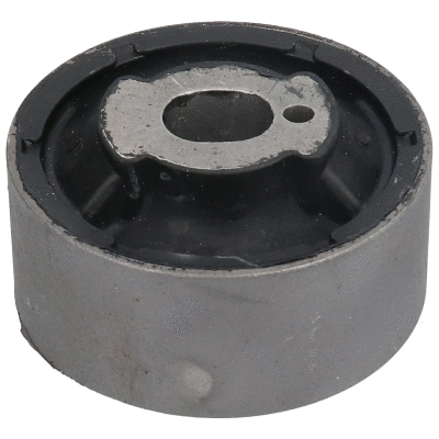 Mounting, differential (20031)