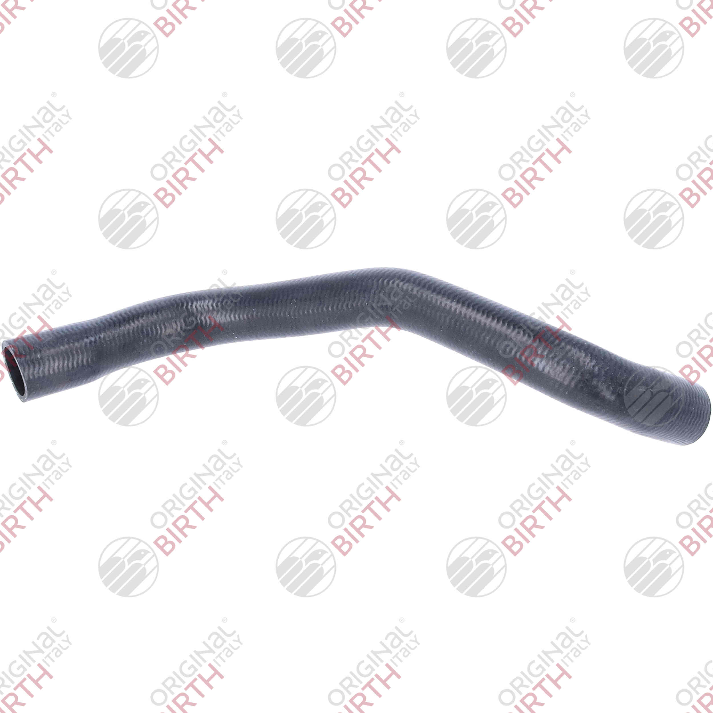 Radiator Hose (55341)