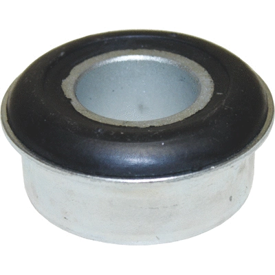 Mounting, control/trailing arm (2817)