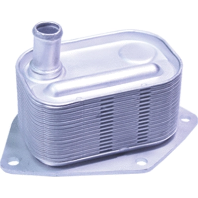 Oil Cooler, engine oil (80124)