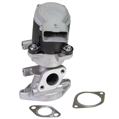 EGR Valve (90079)