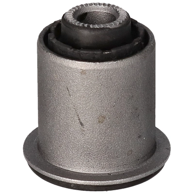 Mounting, control/trailing arm (20176)