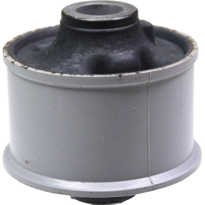 Mounting, control/trailing arm (2869)