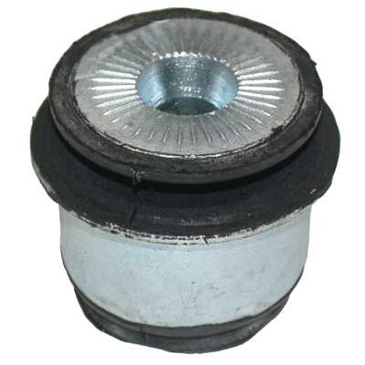 Bushing, axle beam (5628)