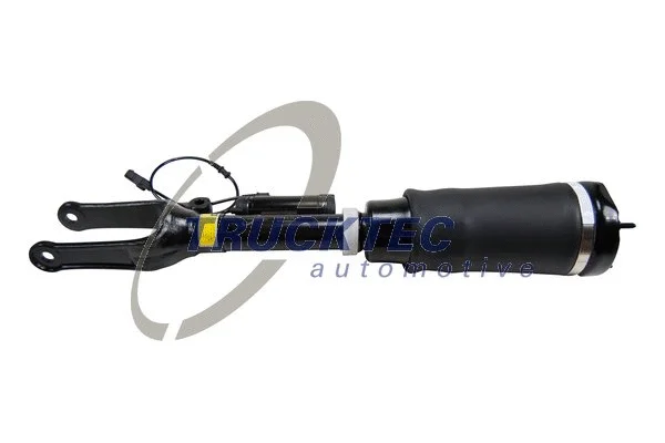 Air Suspension Strut (02.30.377)