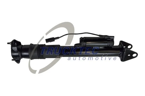 Shock Absorber (02.30.379)