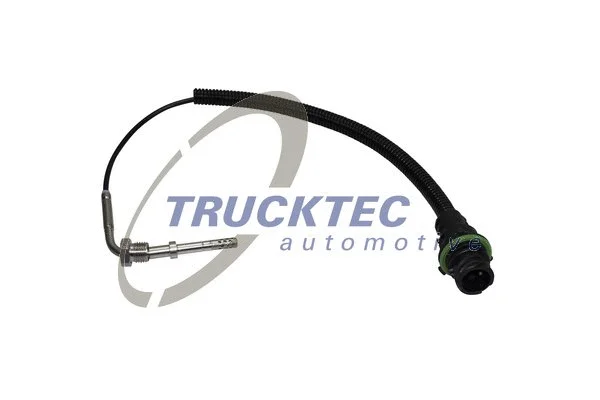 Sensor, exhaust gas temperature (01.17.014)