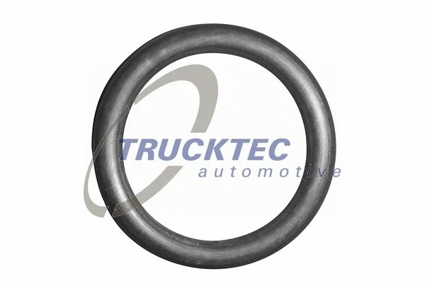 Gasket, coolant pipe (08.10.040)