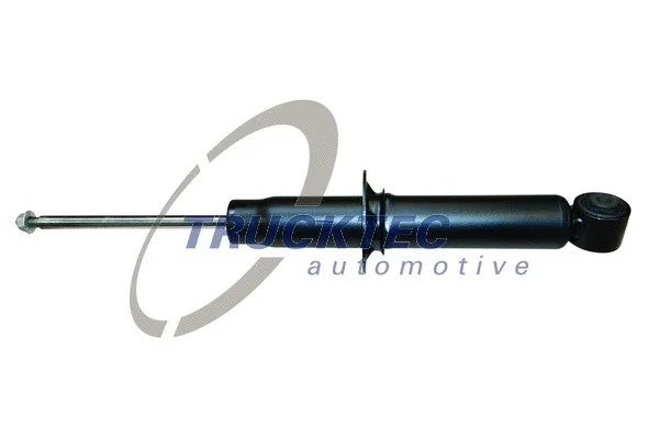 Shock Absorber (07.30.203)