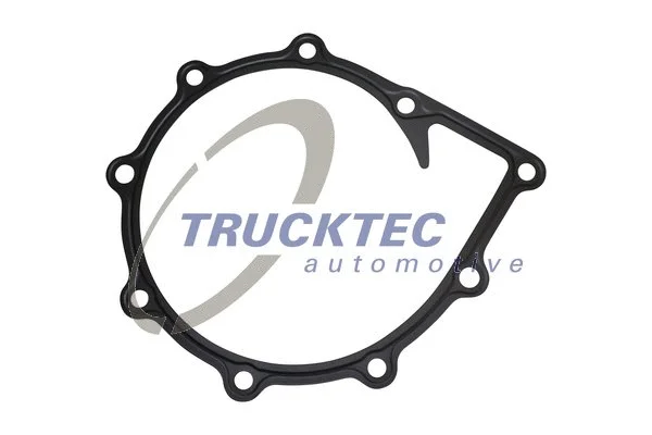 Gasket, water pump (05.19.081)