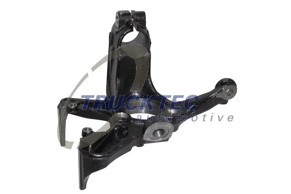 Steering Knuckle, wheel suspension (07.31.301)