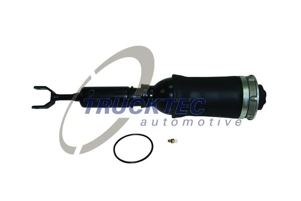 Air Suspension Strut (07.30.060)