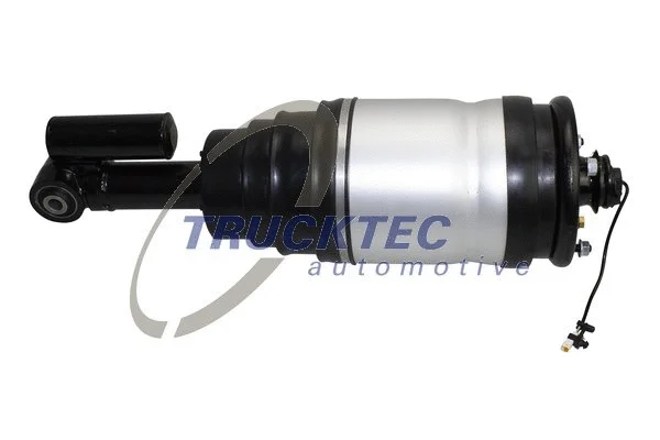 Air Suspension Strut (22.30.006)