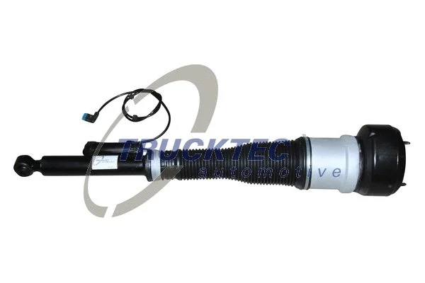 Air Suspension Strut (02.30.172)