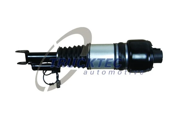 Air Suspension Strut (02.30.174)