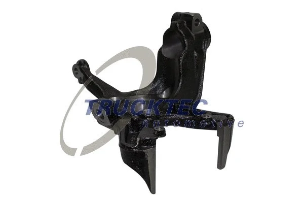 Steering Knuckle, wheel suspension (07.31.300)