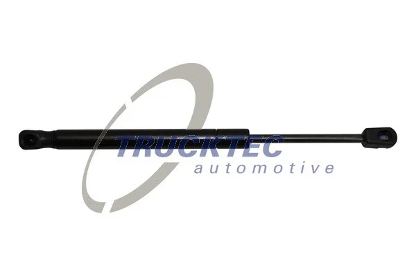 Gas Spring, bonnet (08.63.036)